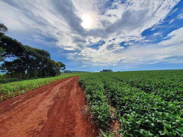 #2 - Fazenda para Venda em São João da Boa Vista - SP