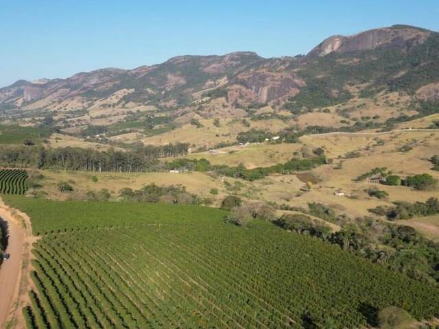 #36 - Fazenda para Venda em Ibitiúra de Minas - MG