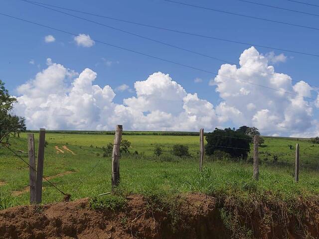 #50 - Sítio para Venda em São João da Boa Vista - SP