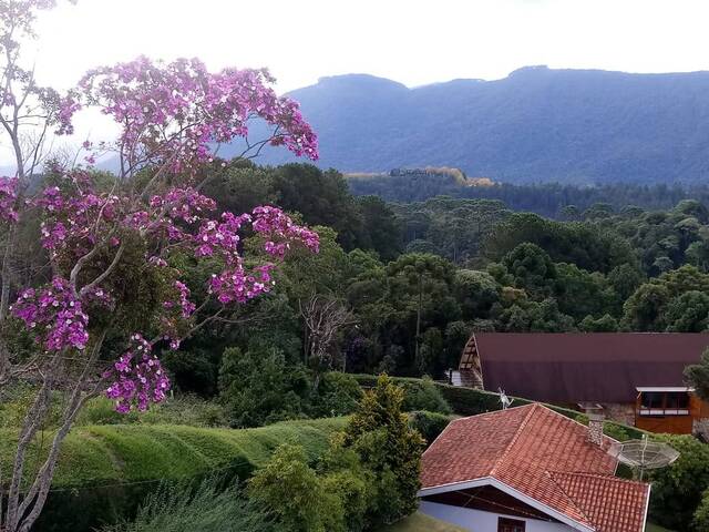 #56 - Casa para Venda em Campos do Jordão - SP