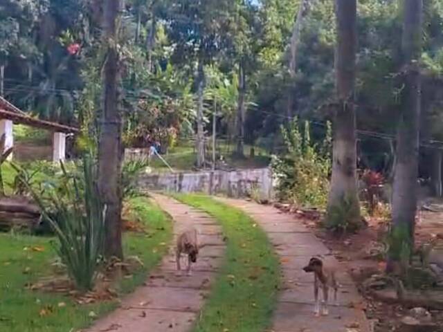 #95 - Chácara para Venda em São João da Boa Vista - SP