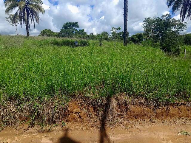 #125 - Chácara para Venda em São João da Boa Vista - SP