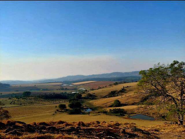 #145 - Sítio para Venda em Vargem Grande do Sul - SP