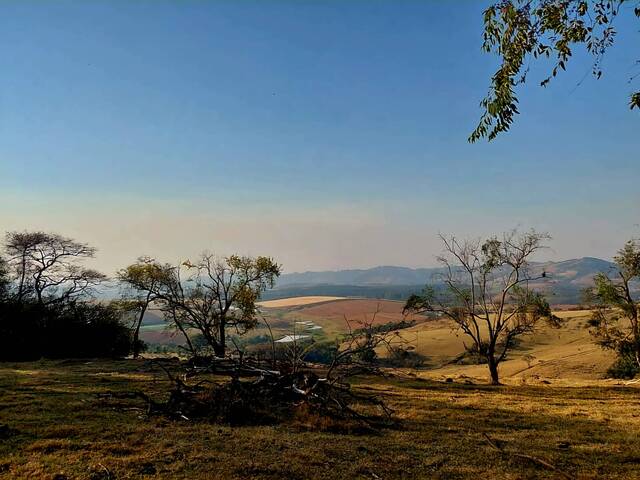 #145 - Sítio para Venda em Vargem Grande do Sul - SP